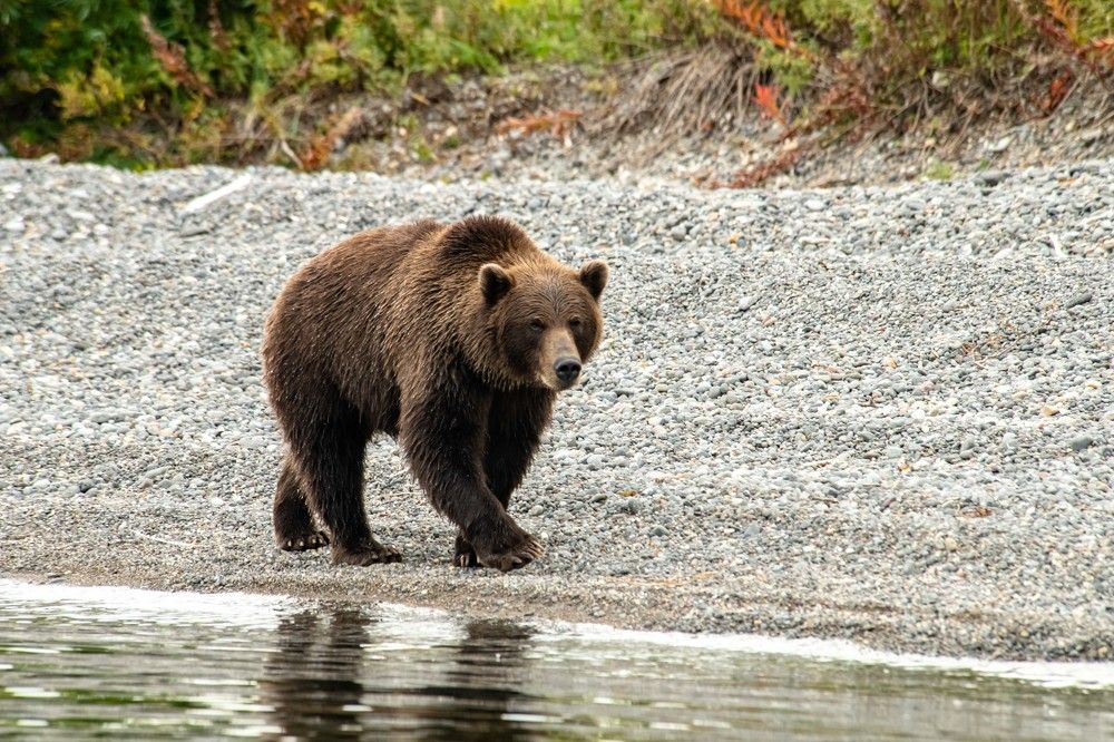 Photograph by Анна