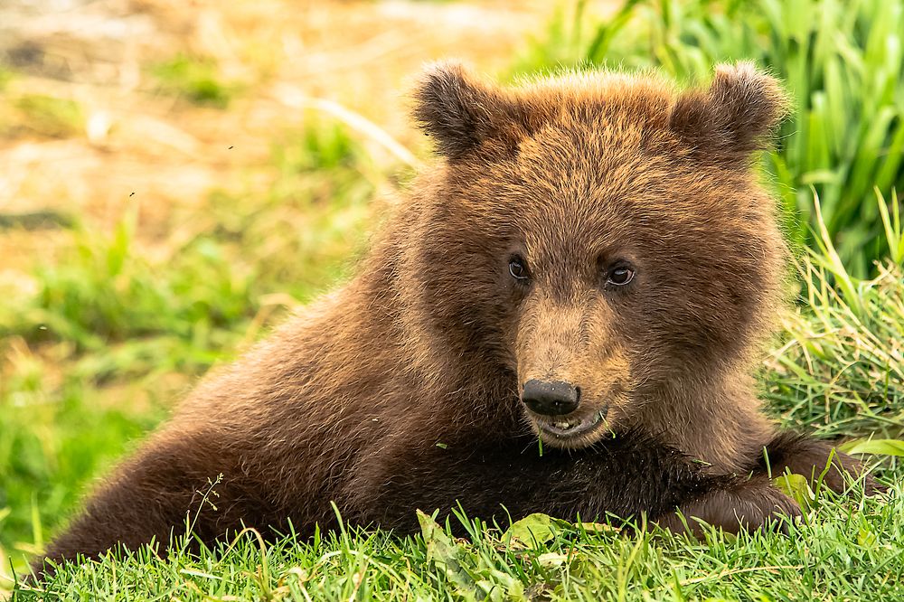 Photograph by Анна