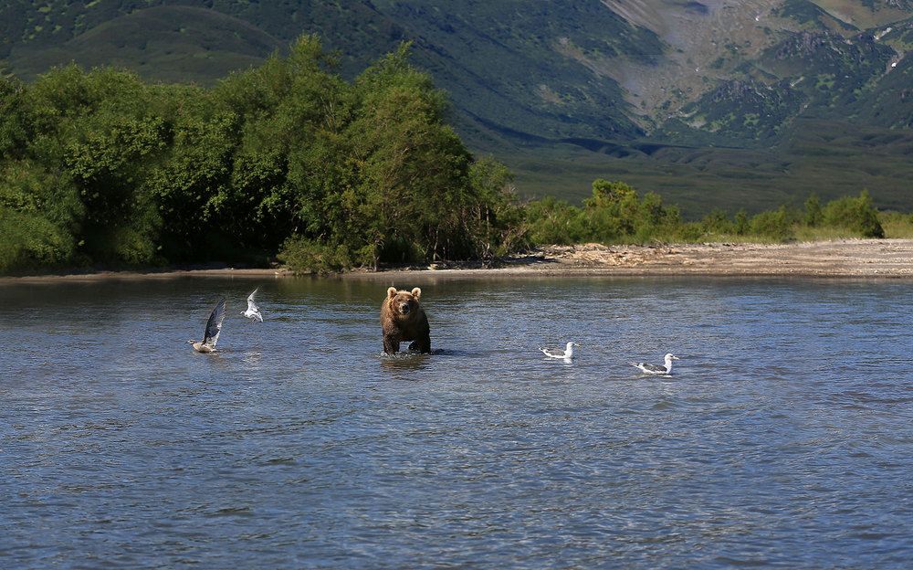 Photograph by Виктор Смирнов