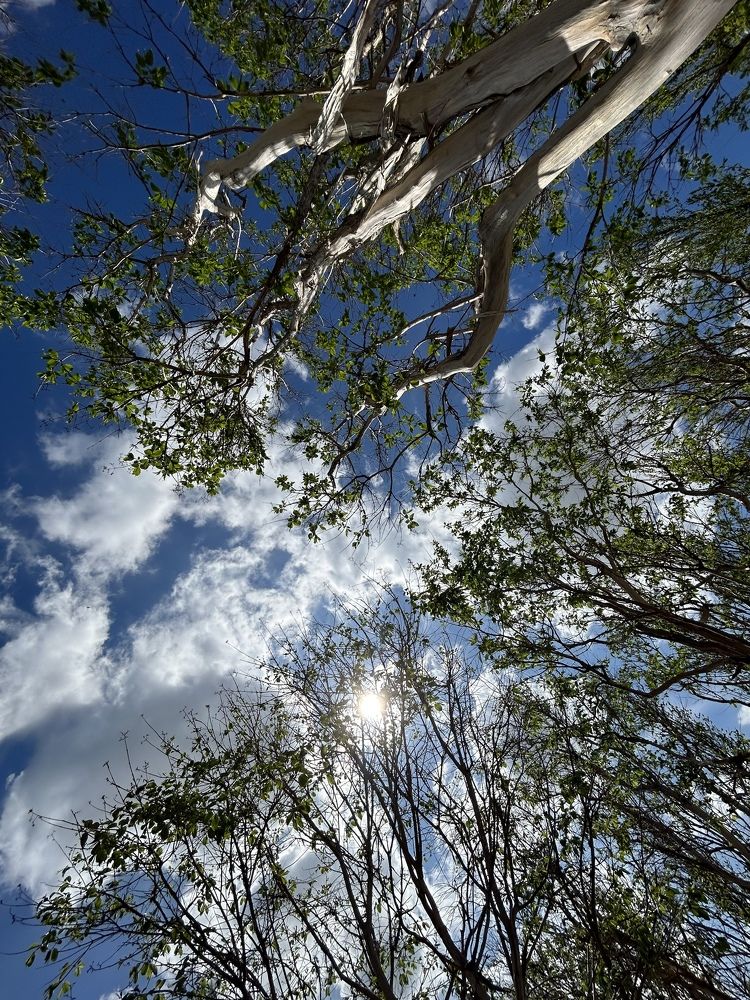 Photograph by Виктория Максименко