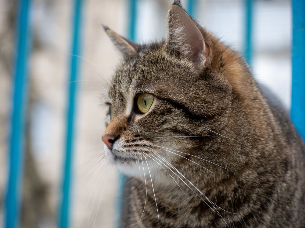 Photograph by Виталий Маслов