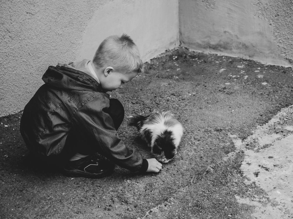 Photograph by Виталий Маслов