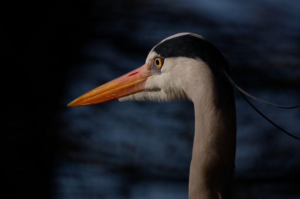 Photograph by Florian Wild