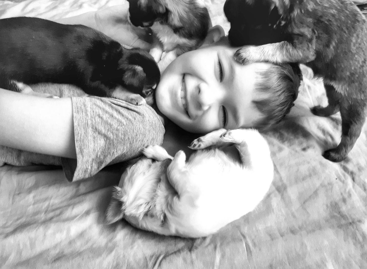 Photo #9078688
