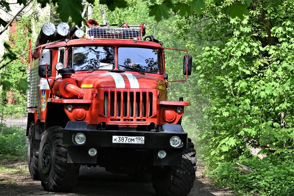 Фотография автора IRINA FILIPPOVA