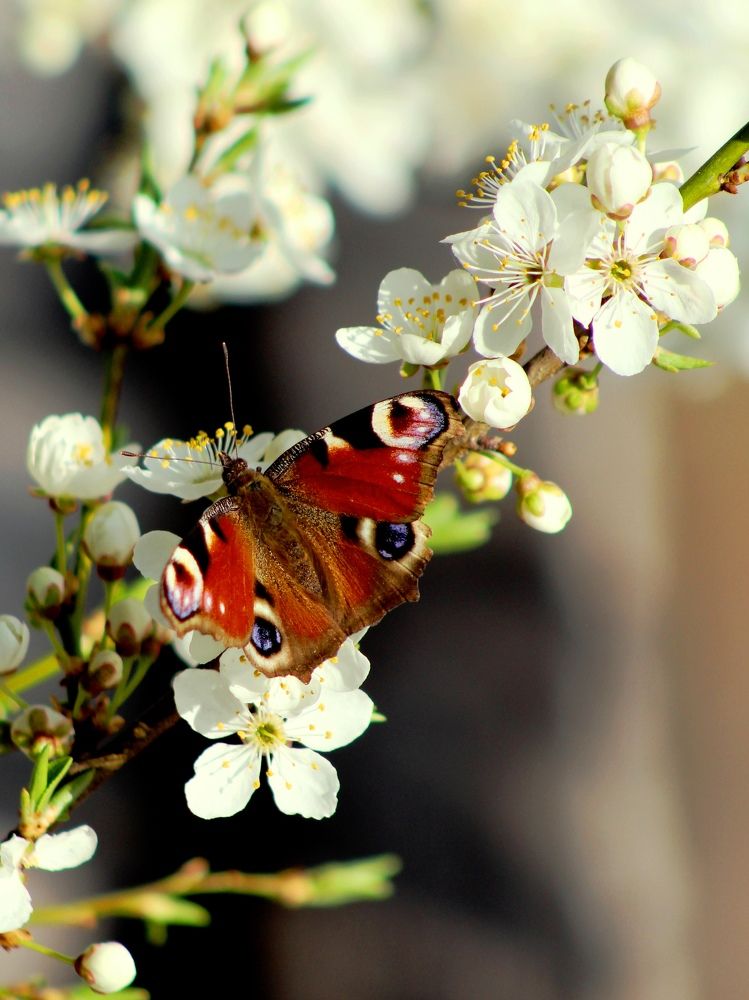 Photograph by 