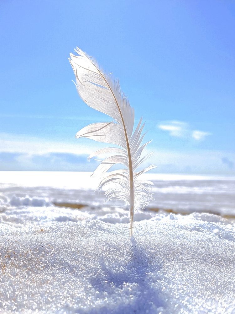 Photograph by Марина Хохрякова