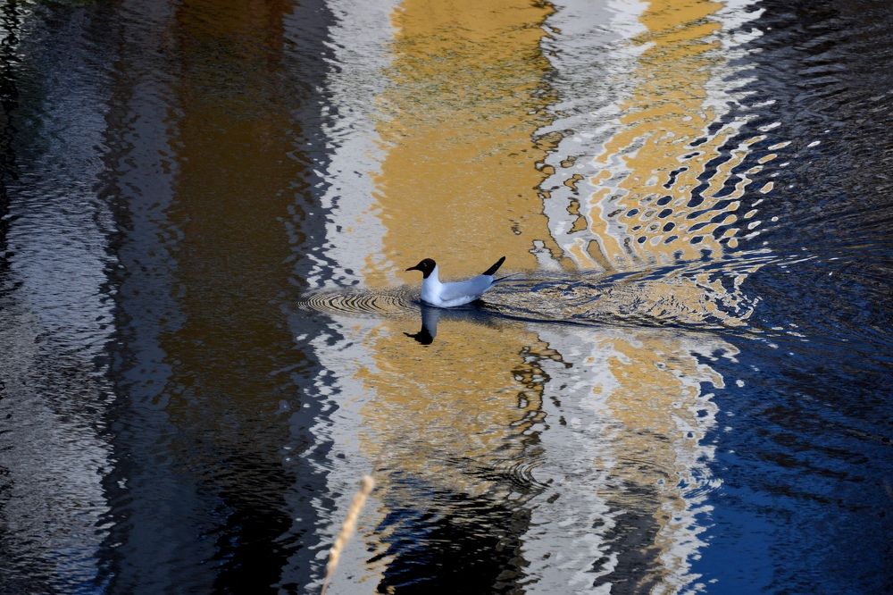 Photograph by Юлия Локалова