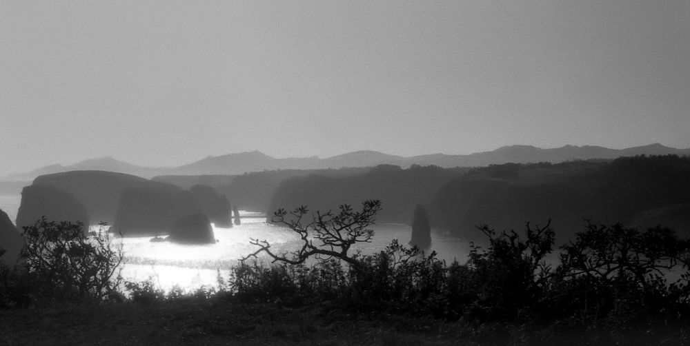 остров Шикотан. Курилы.