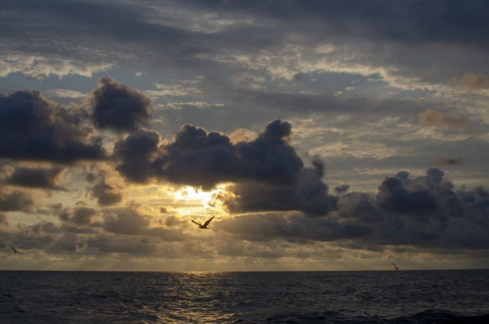 Photograph by Роман Кудрявцев