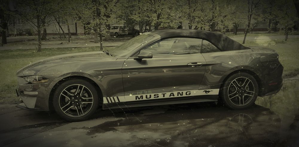 Photograph by Лариса Неудачина