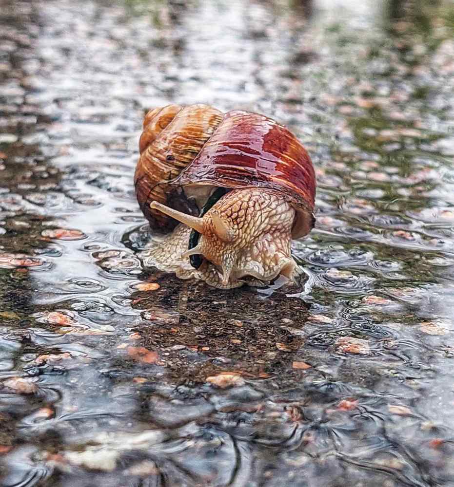 Photograph by Svitlana Usatenko