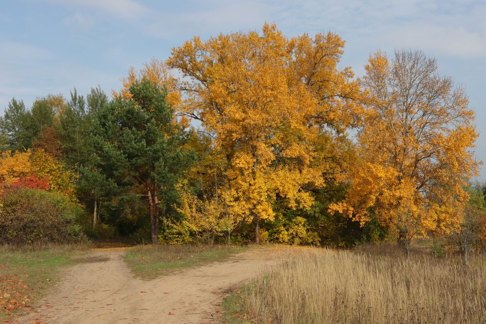 Photograph by Сергей Щербаков