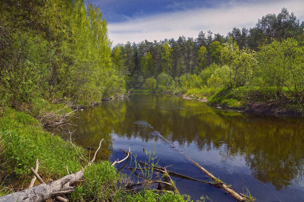 Photograph by Анатолий Максимов