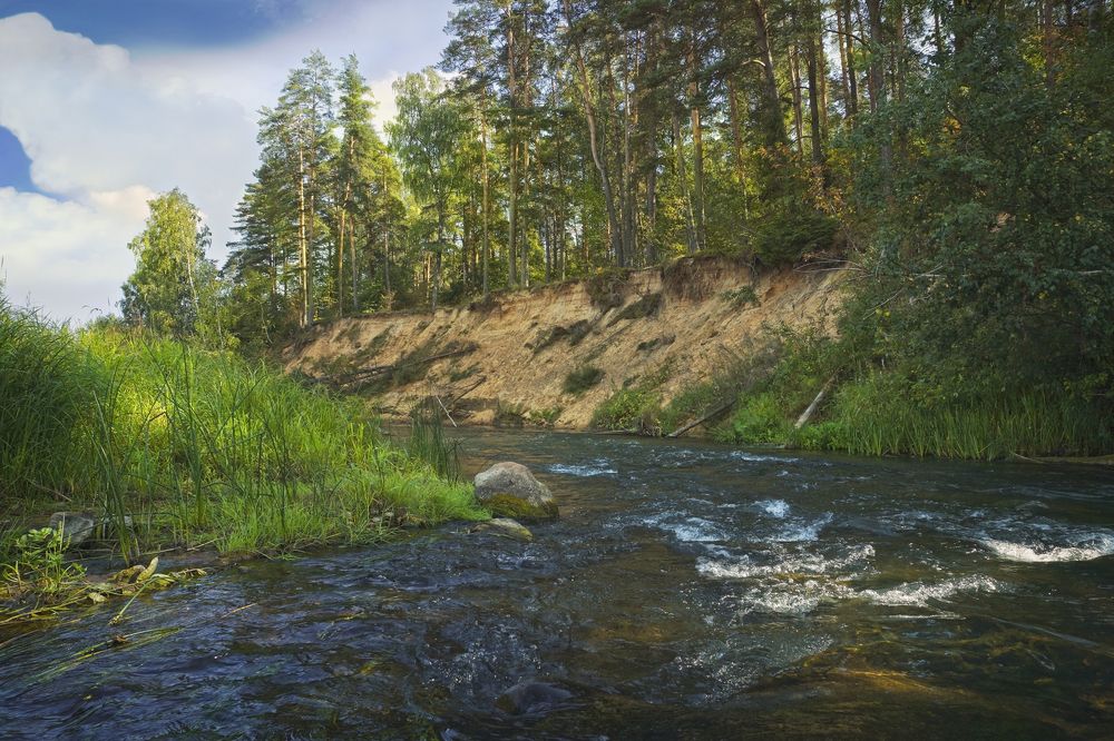 Photograph by Анатолий Максимов