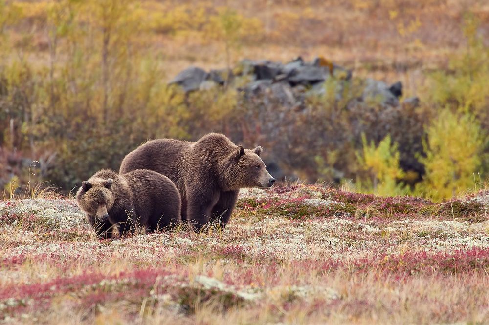 Photograph by Mikhaylov Mikhail
