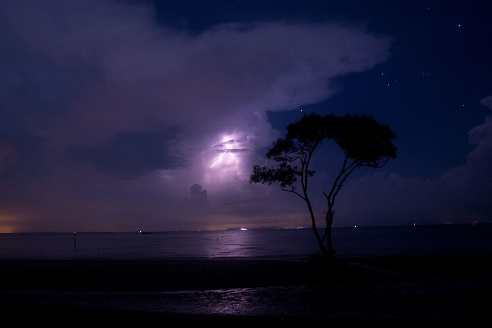 Photograph by phong nguyen