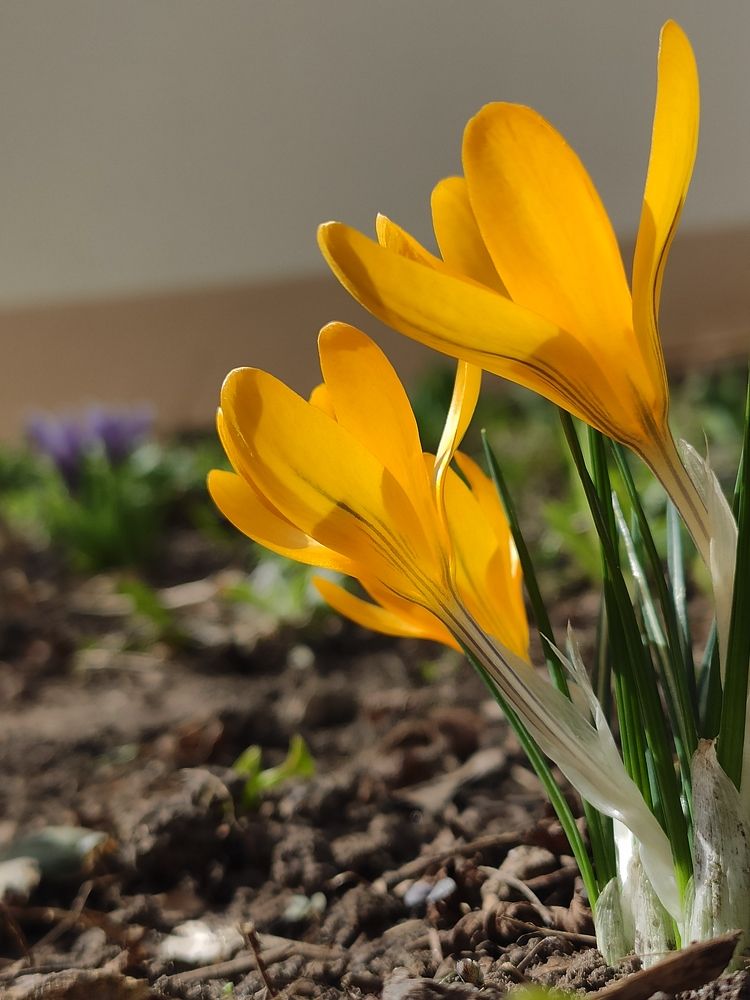 Photograph by Сидорова Ирина