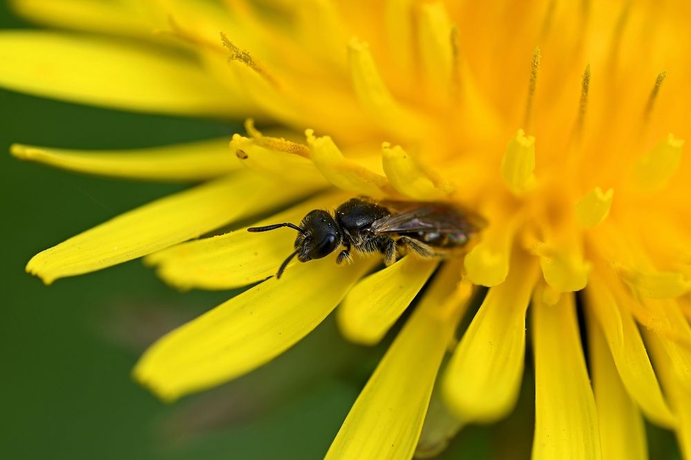 Photograph by Алексей Гордеев