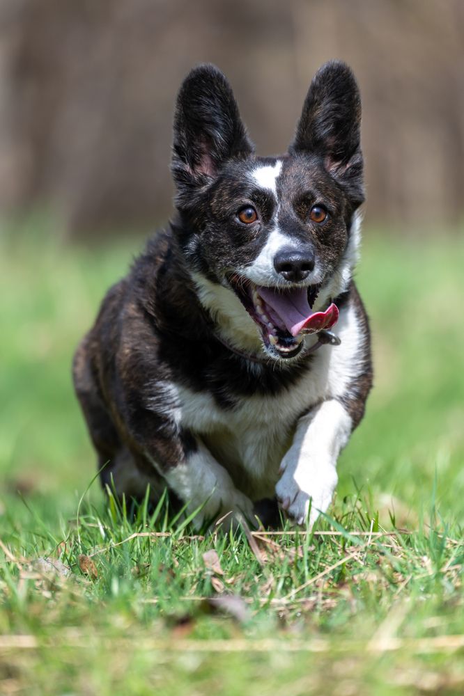 Photograph by Sergey Rygin