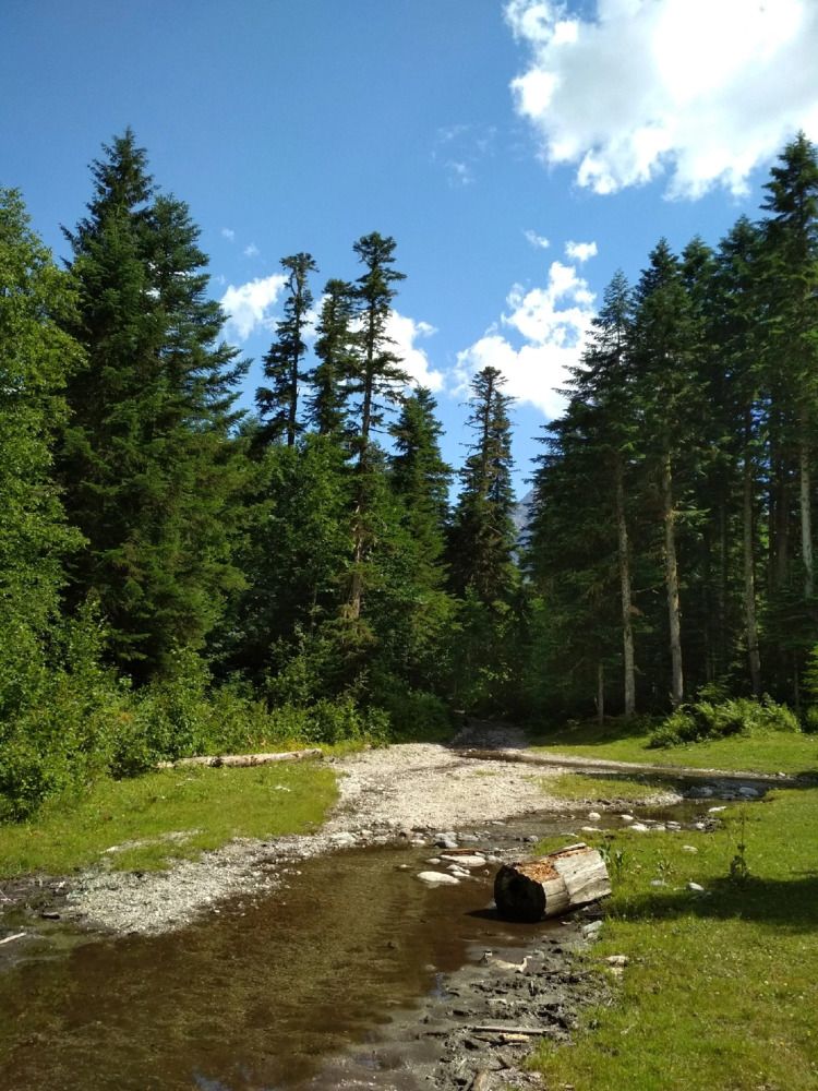 Photograph by Daria Kirina