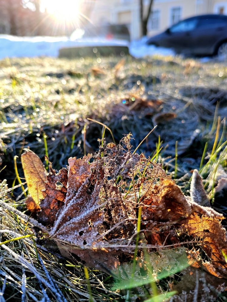 Photograph by Marina Savenko