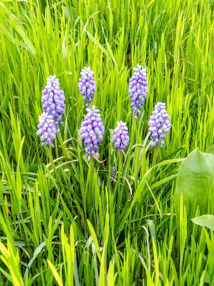 Фотография автора Татьяна Пальчикова