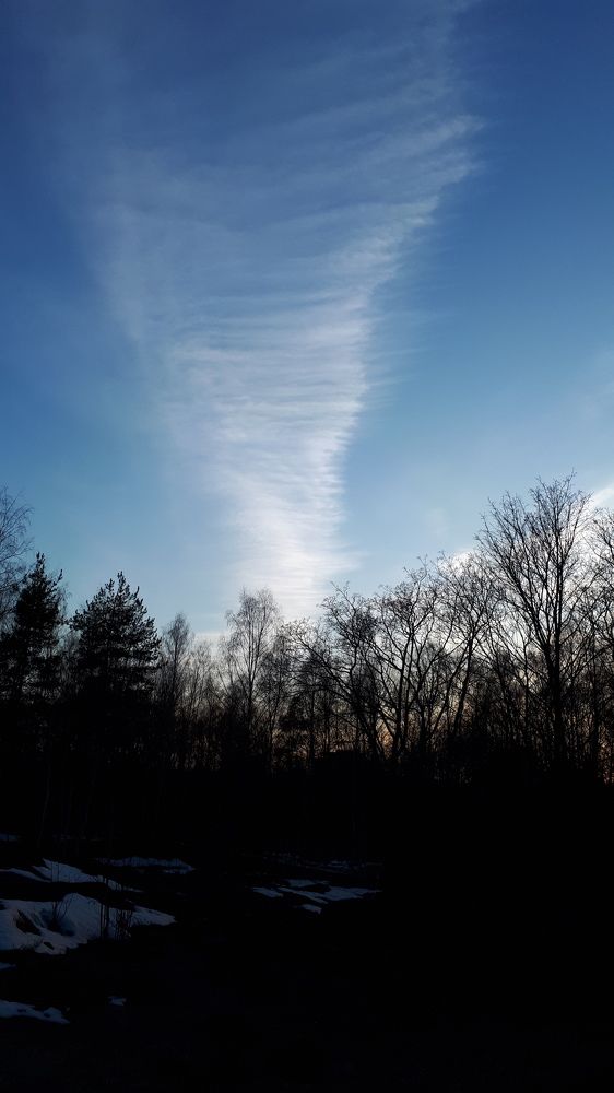 Photograph by Людмила Ковалева