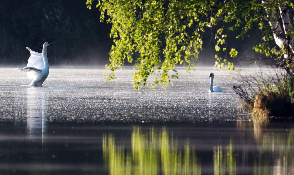 Photograph by Владимир Безбородов