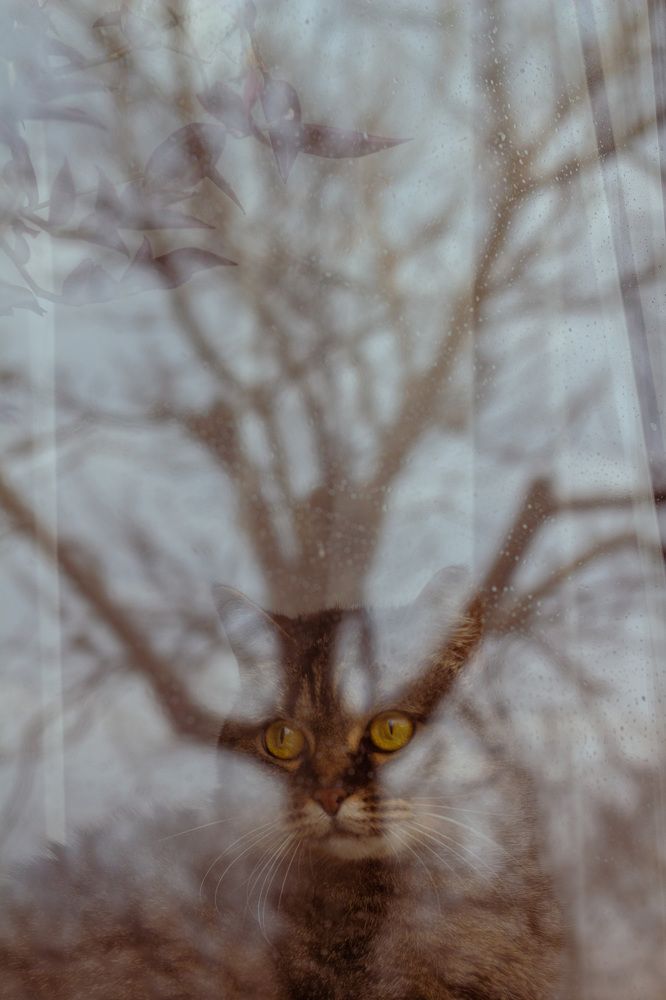 Photograph by Екатерина Талалай