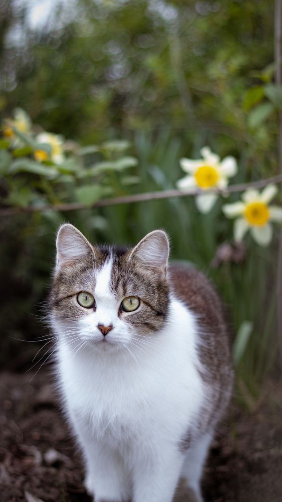 Photograph by Екатерина Талалай