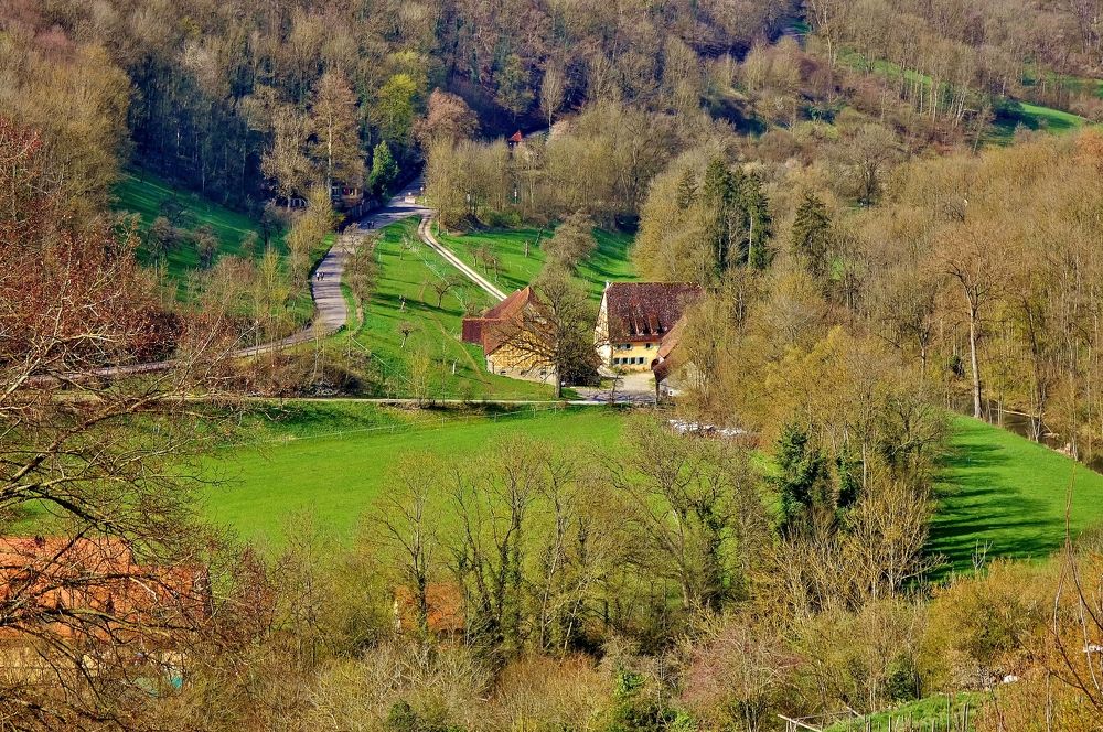 Photograph by backareva irina