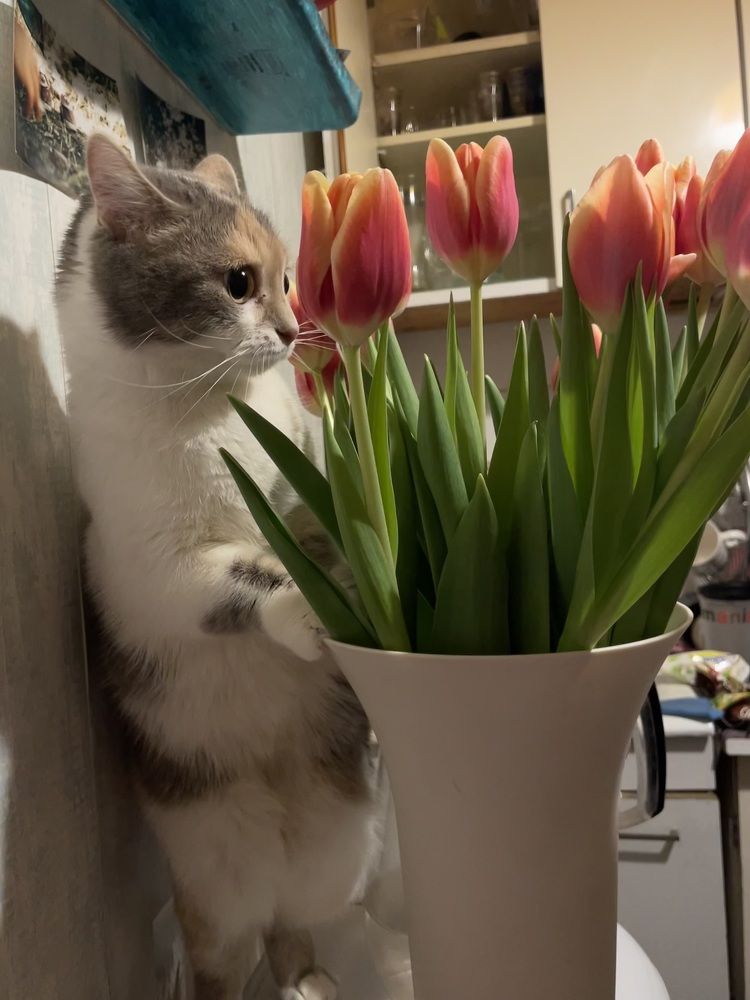 Photograph by Александра Пестина