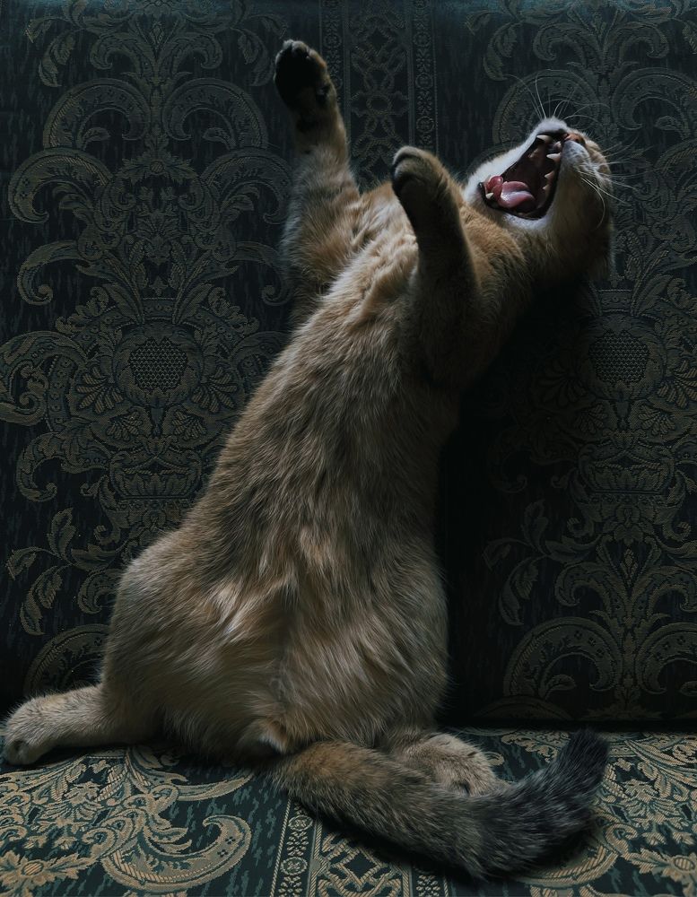 Photograph by Александра Пестина