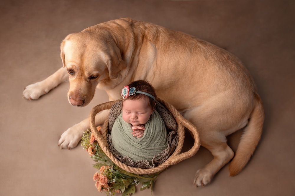 Photograph by Наталья Шевченко