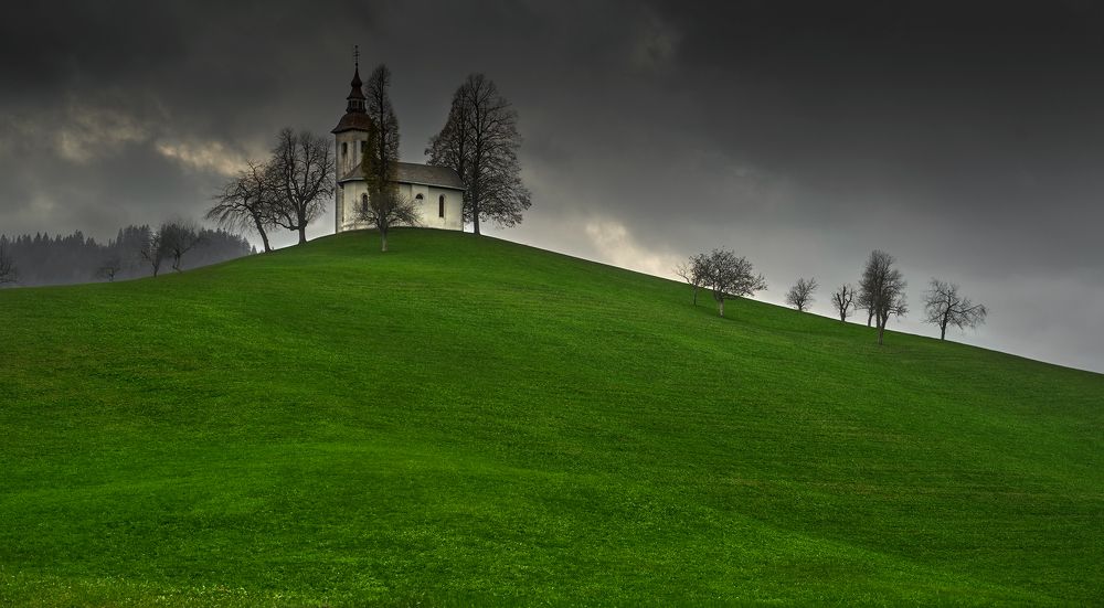 Photograph by Boris Bekelman