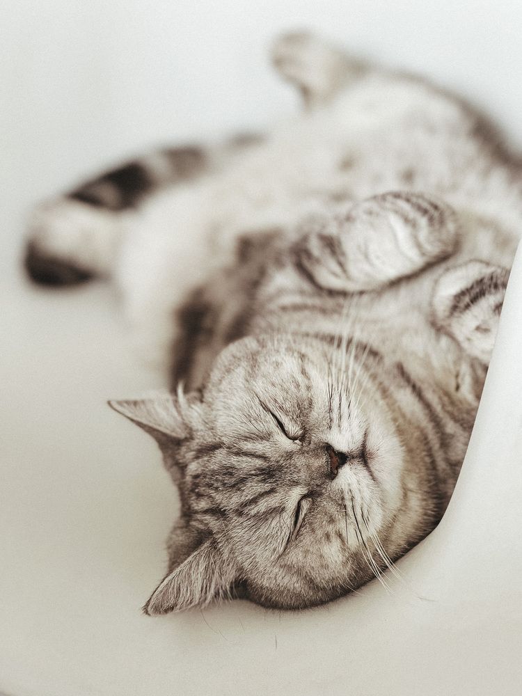 Photograph by Юлия Новикова