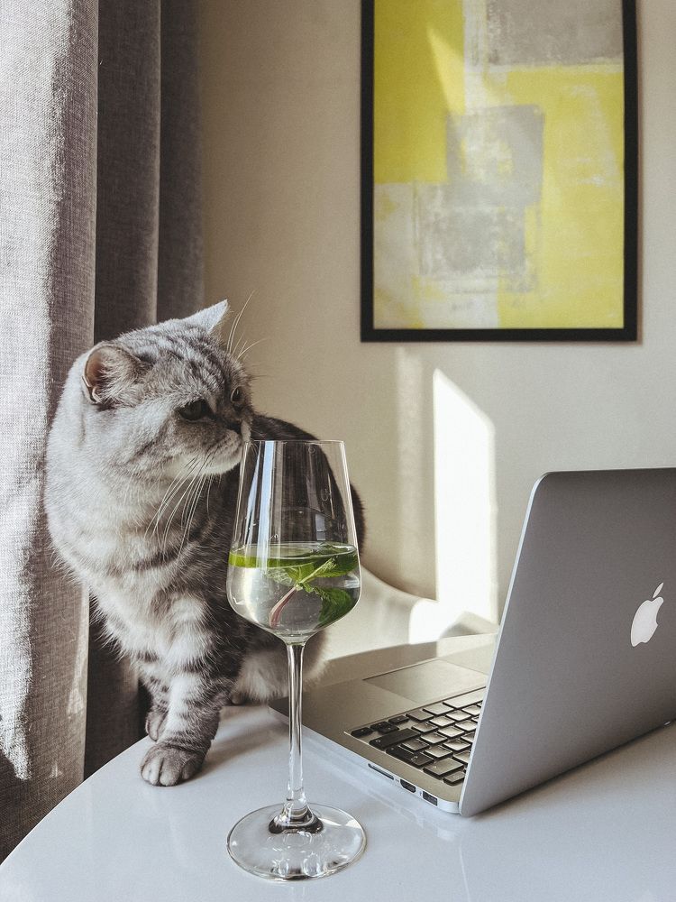 Photograph by Юлия Новикова