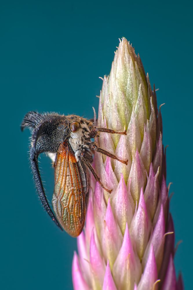 Фотография автора NeCoTi ChonTin