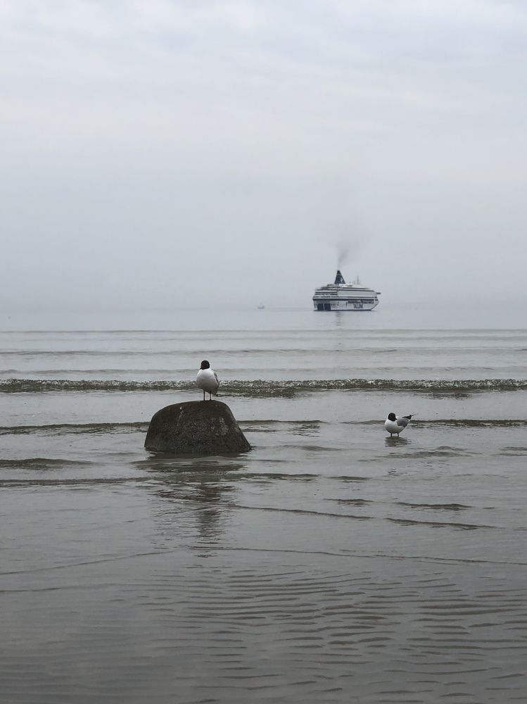 Photograph by Юлия Новикова