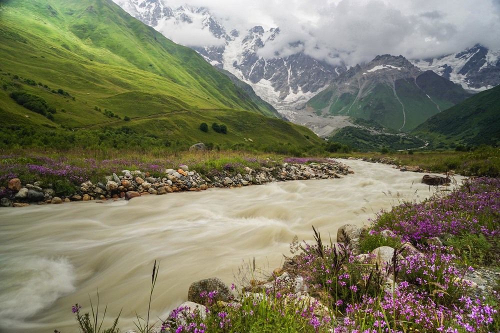 Фотография автора Татьяна Добровольская