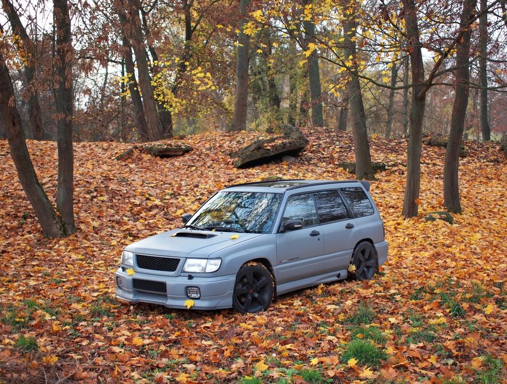 Фотография автора Ира Шугаева