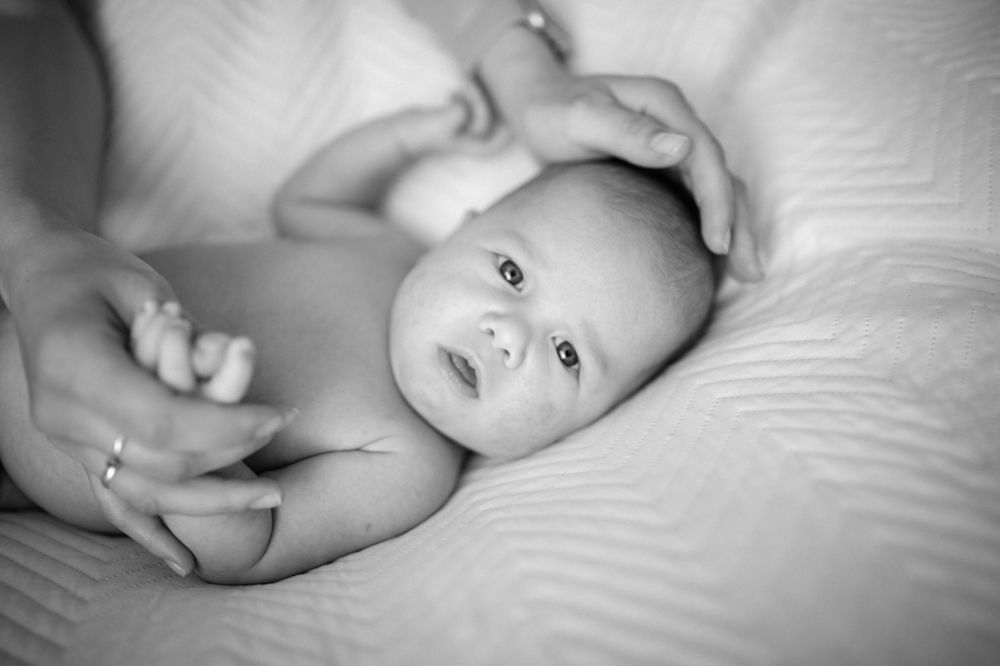 Фотография автора Анна Толмачева