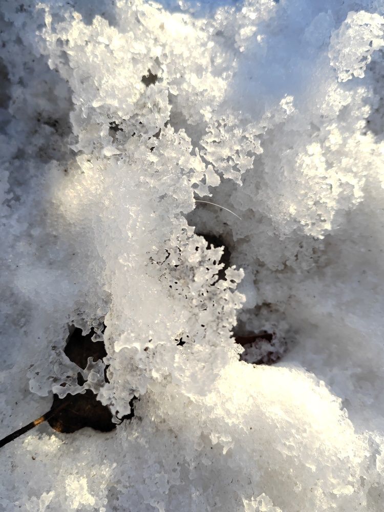 Photograph by Marina Savenko