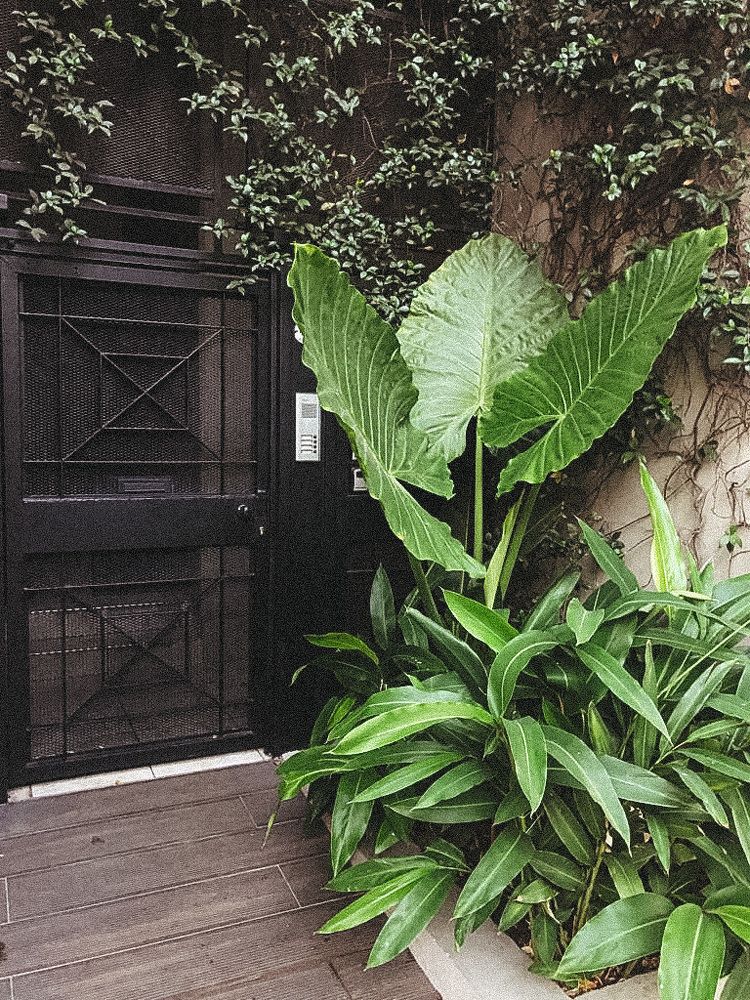 Photograph by Юлия Новикова