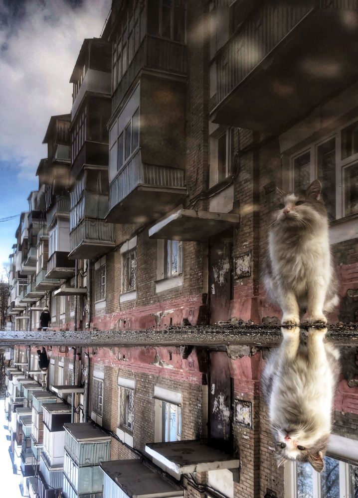 Photograph by Анастасия