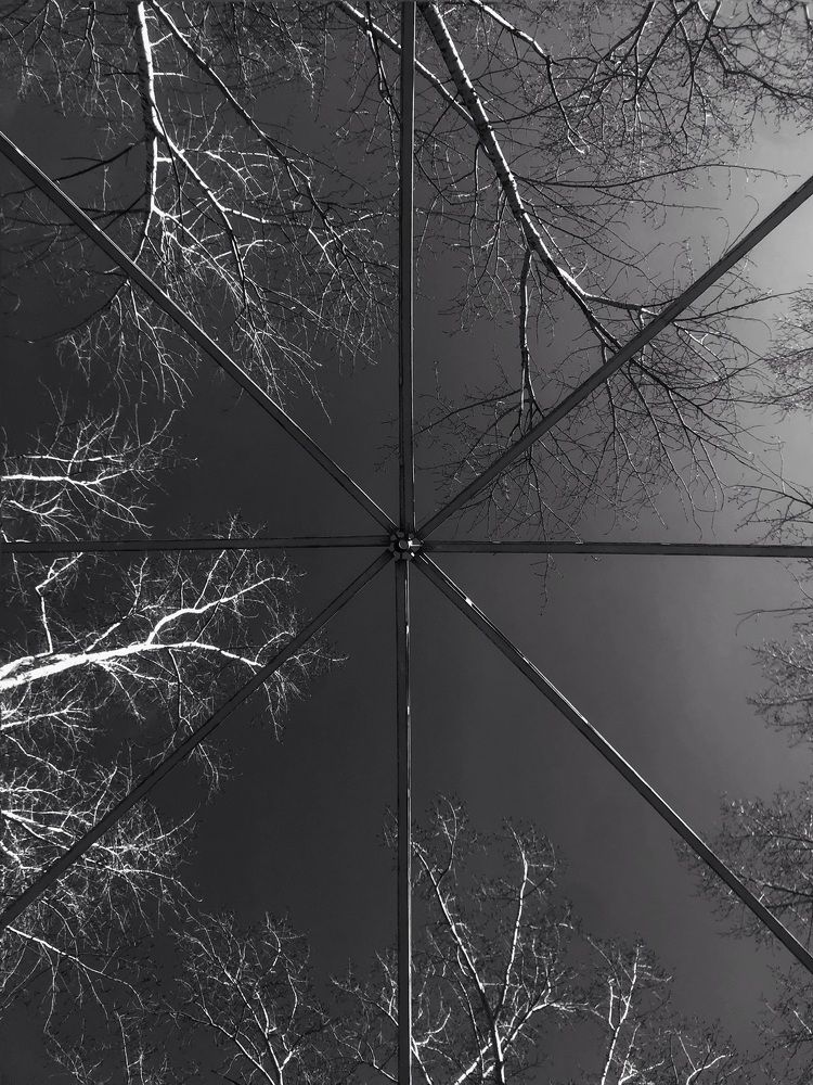 Photograph by Анастасия