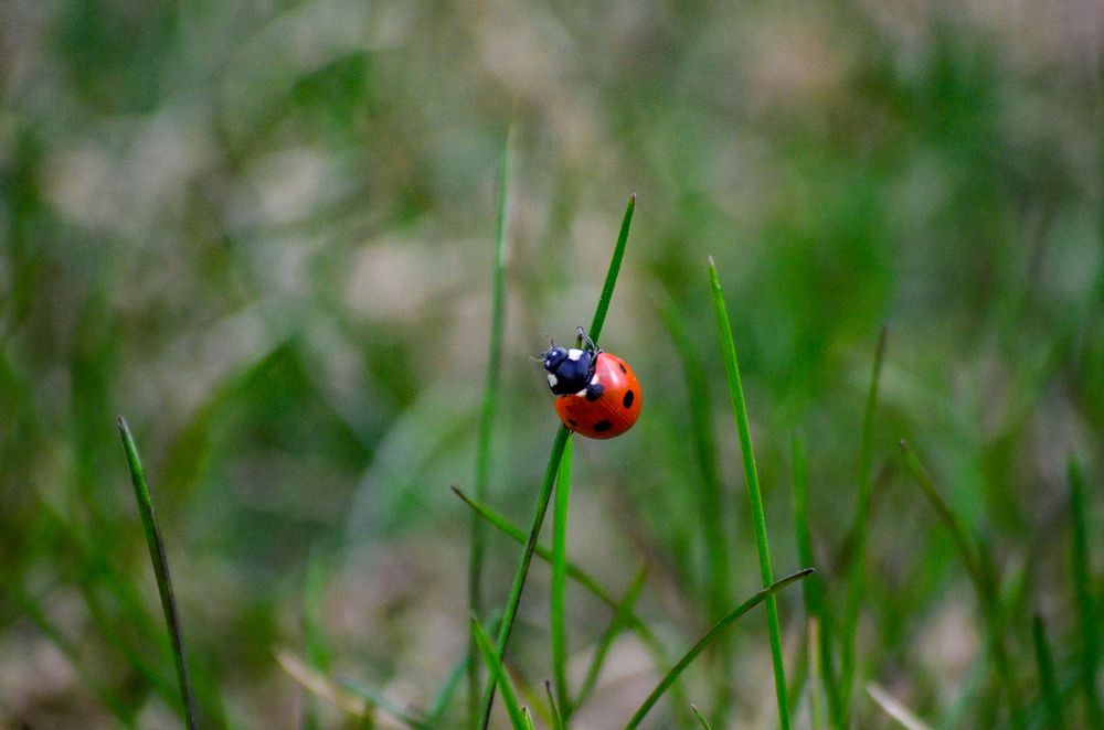 Photograph by Дарья Маркина