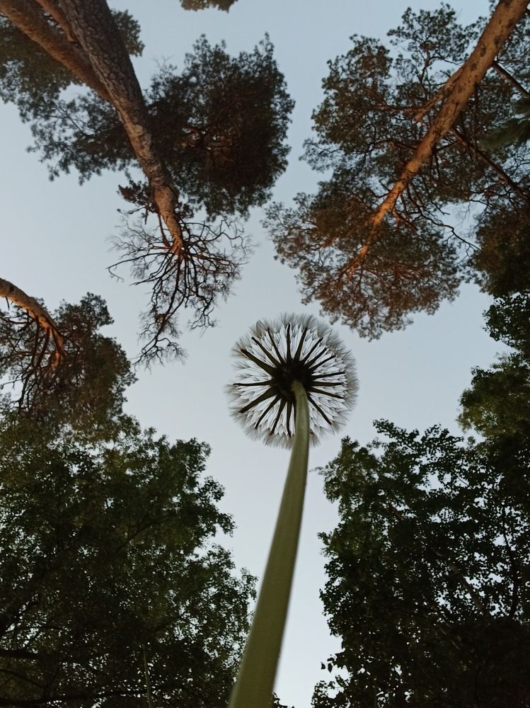 Большое и большое.