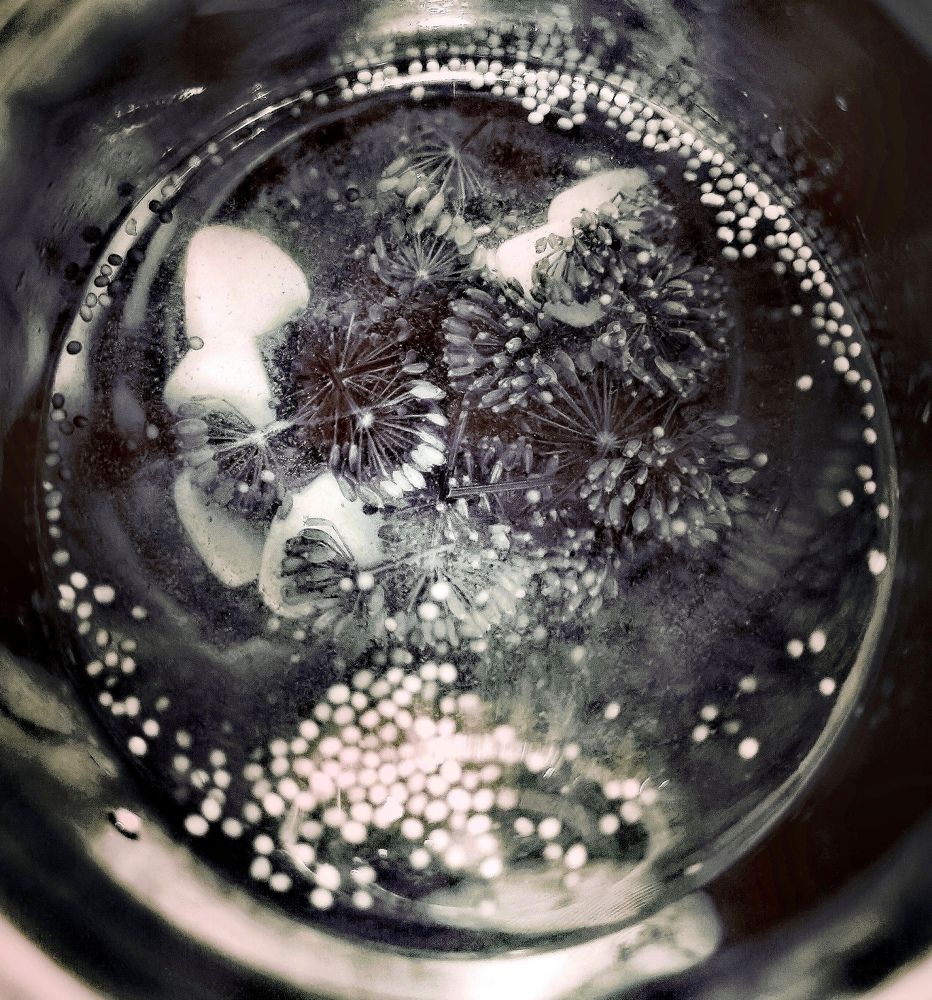 Photograph by Филоненко Николай